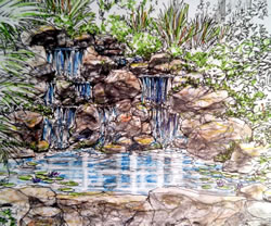 Artist rendering of new pond / waterfall design illustrating startegic use of rocks and plants.