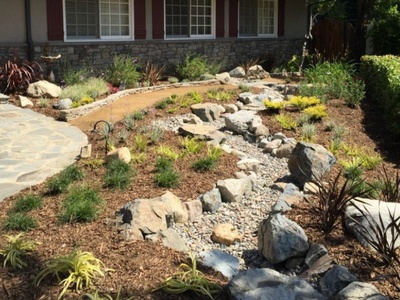 Drought Tolerant Landscape, Encino, CA